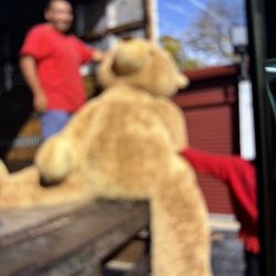 FA O Schwartz Bear Paid $1,000.00 Sacrifice $500.00