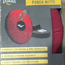 Boxing Mitts