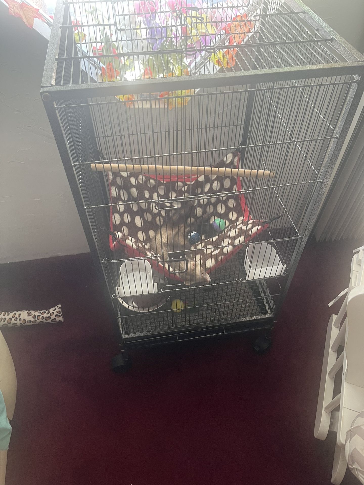 Cage