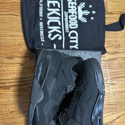 Jordan 4 Black Cats