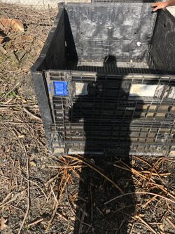 Foldable container box