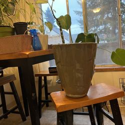 Beautiful Tall Plant Pot