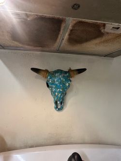 Bullhorn skull decoration