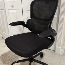 High Back Ergonomic Office Chair, Breathable Mesh Desk Chair with Lumbar Support, Adjustable Headrest, Flip-up Armrests, Computer Gaming Chair