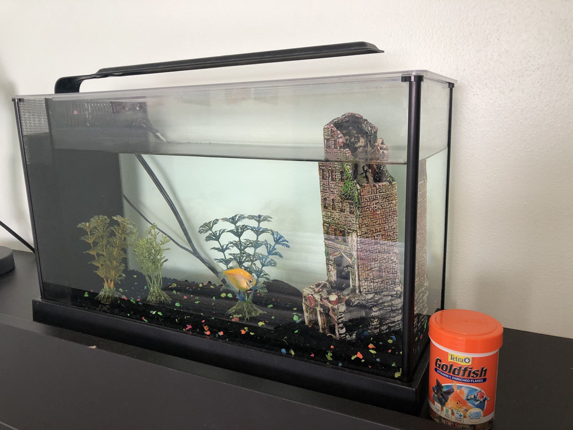Fish tank, light, two fish and food $30