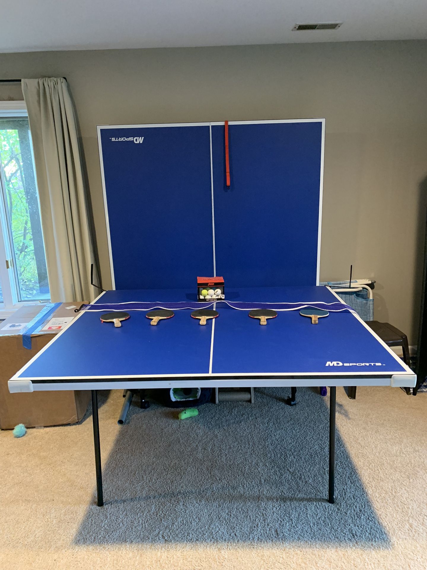 Ping Pong Table