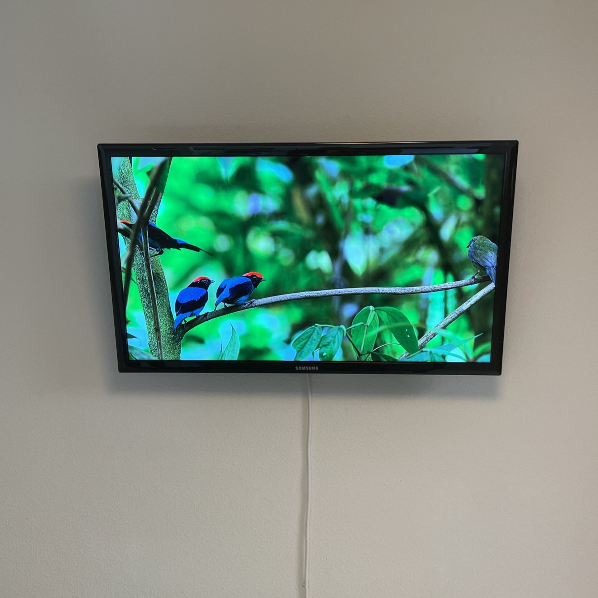 40 Inch Samsung TV with Wall Mount and Google Chromecast