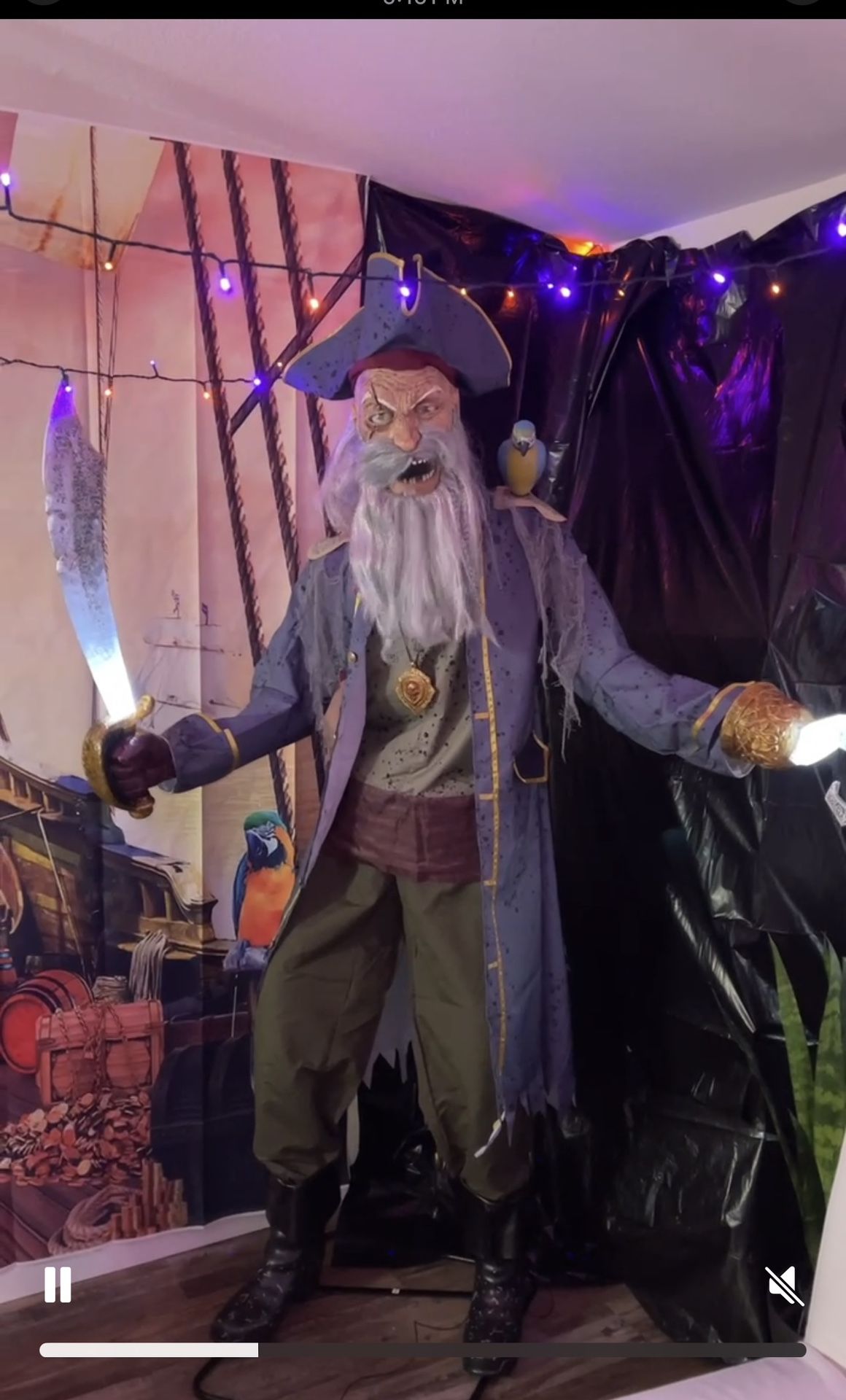 Capt Cuts Animated Pirate
