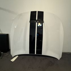 Ford gt350 hood