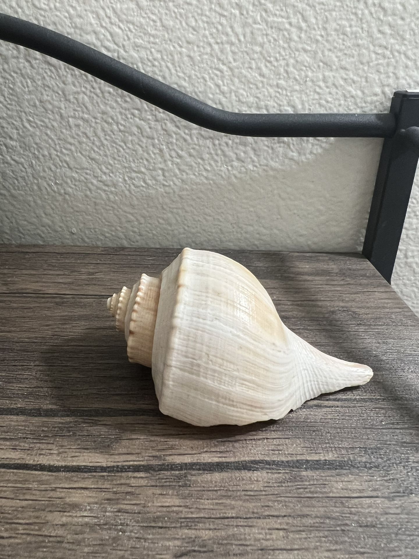 Shell 