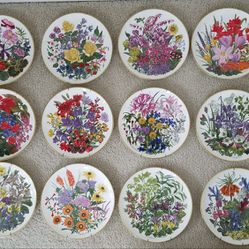 12 Dinner Plates From The Franklin Mint Flowers of the year plate collection