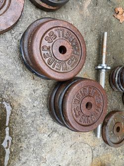 10lb plates