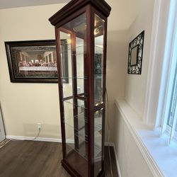 Display Cabinet with Light Fixture 