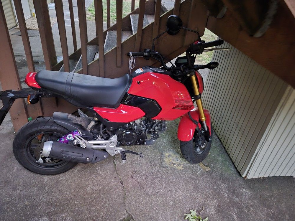 2023 Honda Grom Brand new