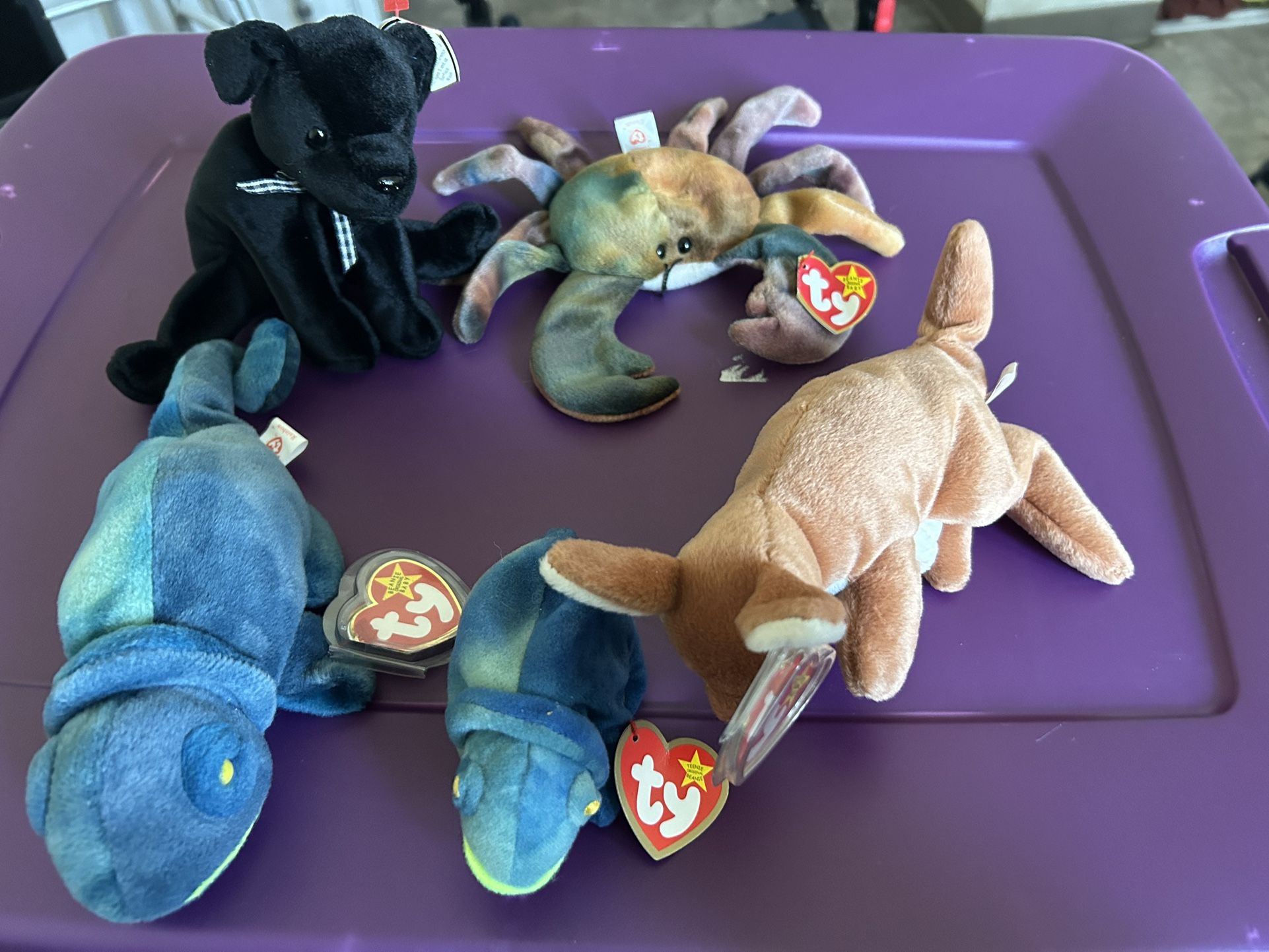 Entire Beanie Baby Collection