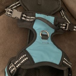 Dog Collar