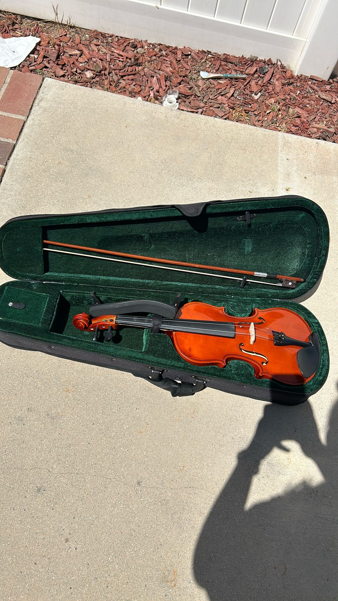 Violin