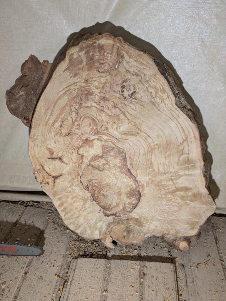 Old Growth Fir Burl Slabs