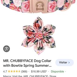 Dog Collar Rose flower