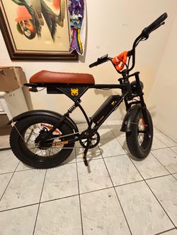 Cycrown Moped Ebike