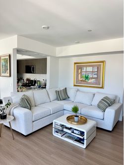 Living Spaces Delano Sectional – Brand New, Just Delivered