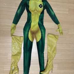 Rogue Halloween/ cosplay Costume