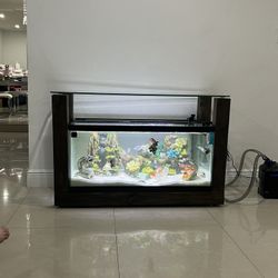 55 Gallon Fish Tank