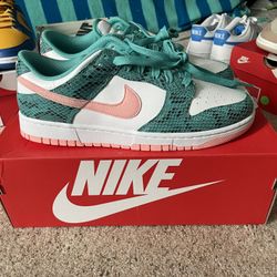 Nike Dunk Washed Teal BleachedCoral DS Men’s Size 9.5