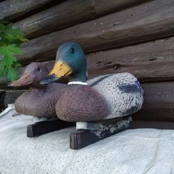 20 Decoy Ducks With Removable Weights 