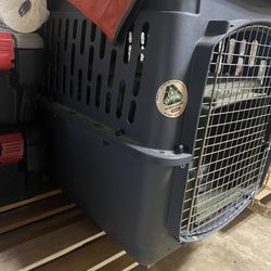 Dog Kennel