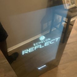 Echelon Fitness Mirror 