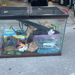 Aquarium for both fish and reptiles