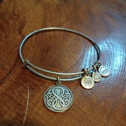 ALEX AND ANI Path of Life Silver Tone Charm Bangle