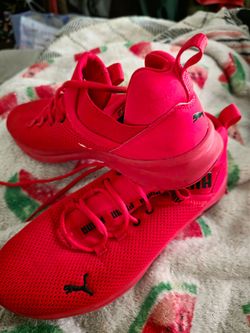 Pumas 9.5