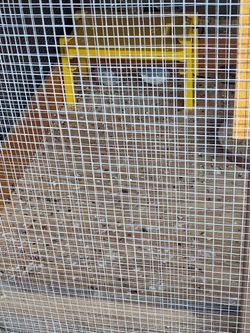 Free Quails