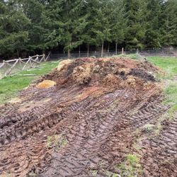 Horse Manure
