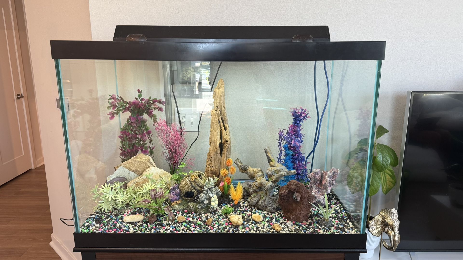 65-Gallon Aquarium – Full Set