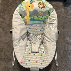 Bright Starts Baby Bouncer Soothing Vibrations
