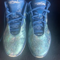 Men’s Nike LeBron Size 11