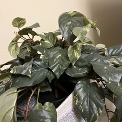 Realistic Faux Plant With Basket 