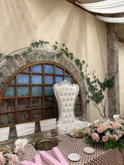 Throne Chair Silver/white 