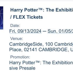 VIP Harry Potter: The experience FLEX Tickets 