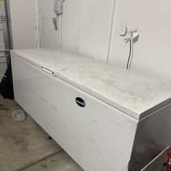 Restaurant grade freezer ($550 OBO)