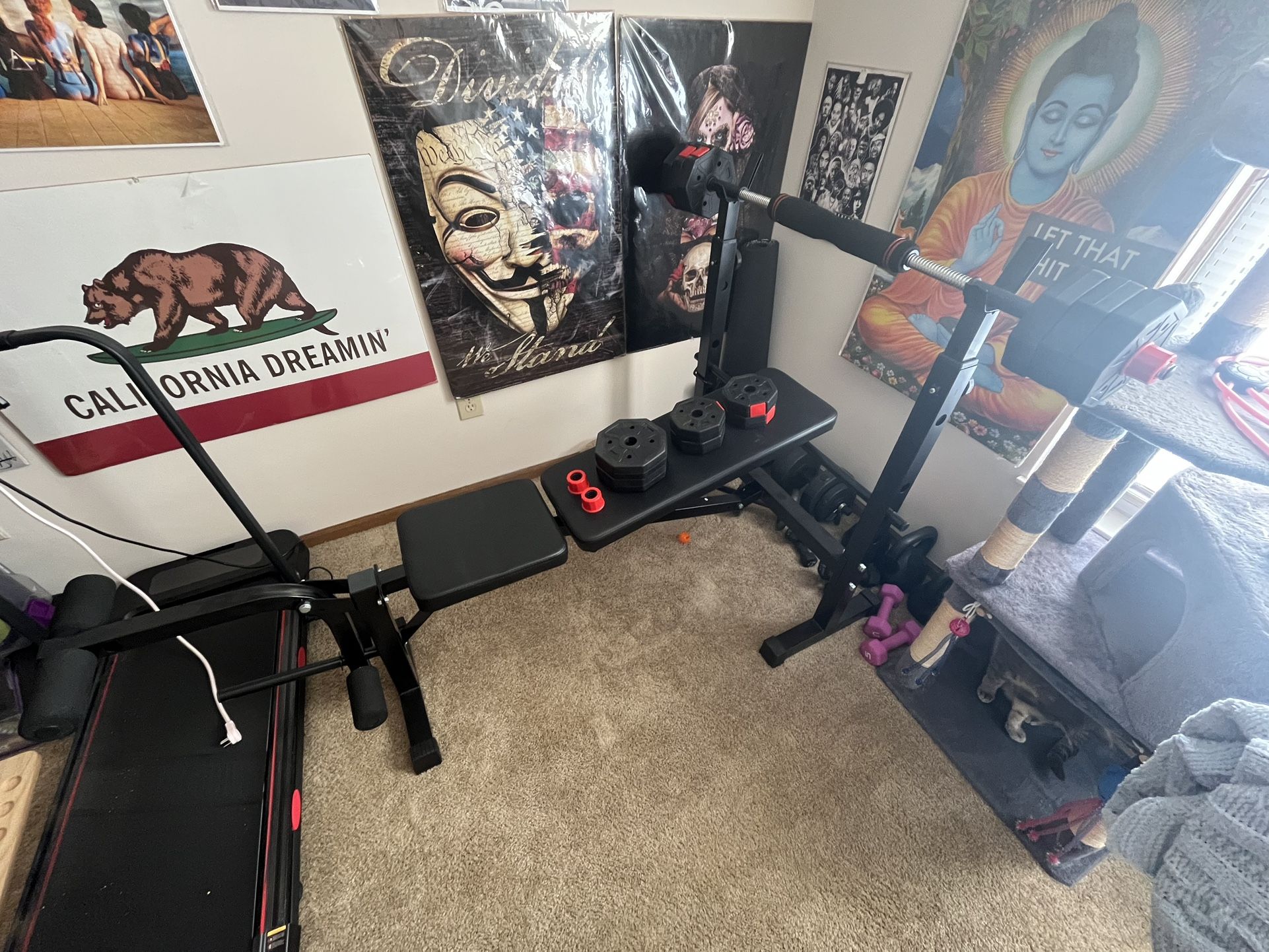 Weight Bench Set & 45lbs of Plates