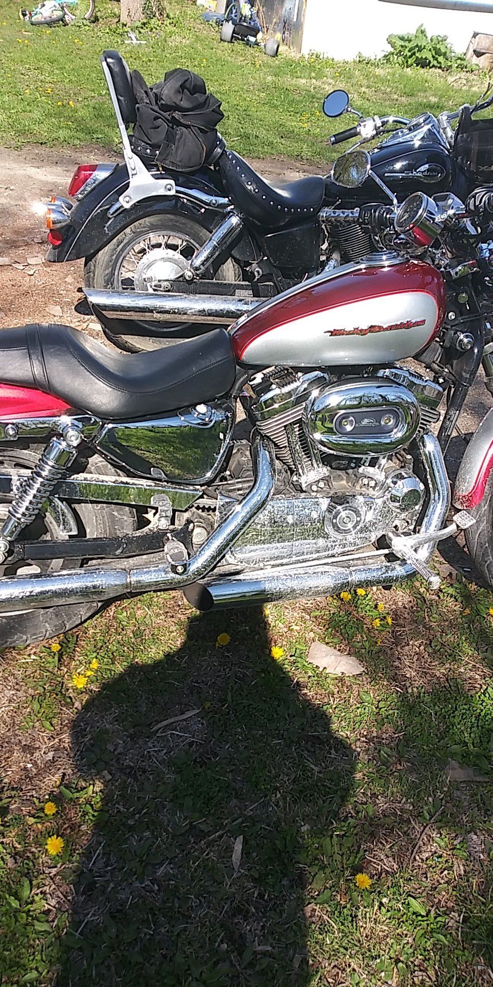 Photo Harley Davidson sportster 1200