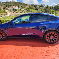 Tesla model Y performans