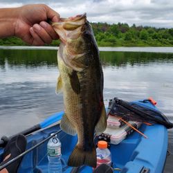 Lifetime Fishing Kayak