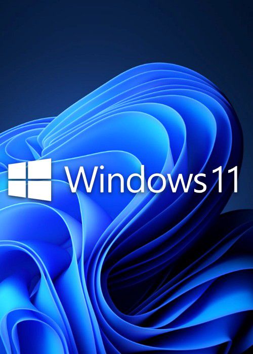 Microsoft Windows 11 Pro 64-Bit