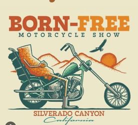 Born free Sunday grass pass