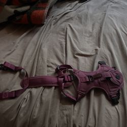Kong Dog Vest Harness